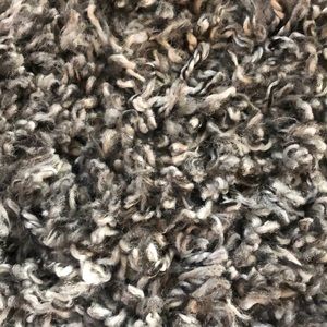 Meet your Posher, Jessi